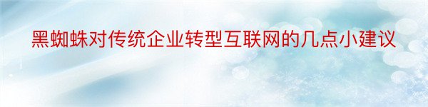 黑蜘蛛对传统企业转型互联网的几点小建议