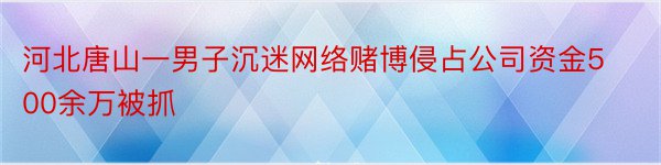 河北唐山一男子沉迷网络赌博侵占公司资金500余万被抓