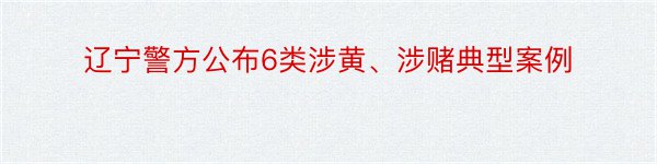 辽宁警方公布6类涉黄、涉赌典型案例