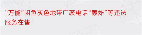 “万能”闲鱼灰色地带广袤电话“轰炸”等违法服务在售