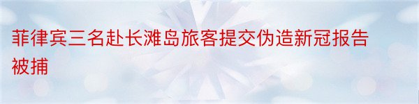 菲律宾三名赴长滩岛旅客提交伪造新冠报告被捕