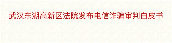 武汉东湖高新区法院发布电信诈骗审判白皮书