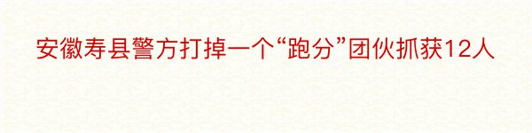 安徽寿县警方打掉一个“跑分”团伙抓获12人